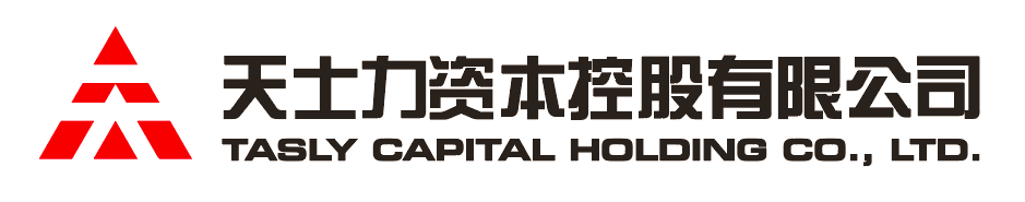 9091美高梅资本控股有限公司